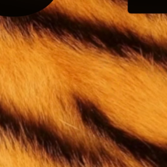jjiabella